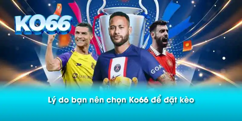 Lý do bạn nên chọn Ko66 để đặt kèo